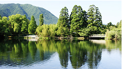 埃森化學